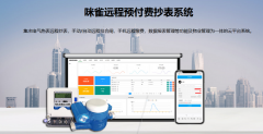 预付费系统可以实现哪些功能?