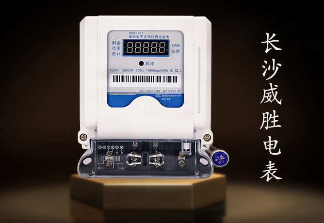 长沙威胜电表